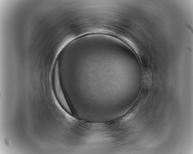 X0000098001007200803241338