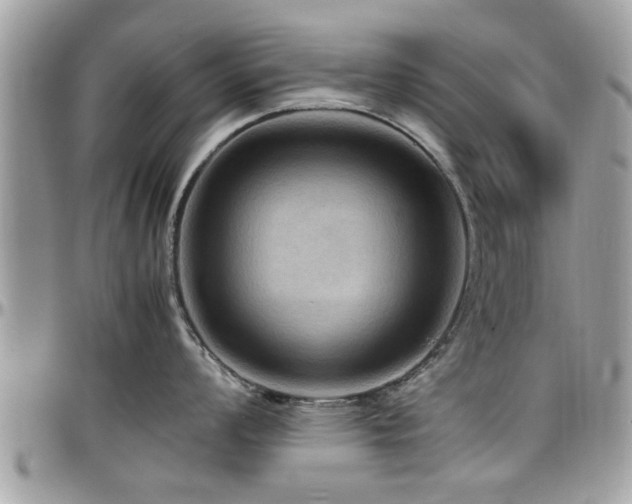 X0000098001008200803241338