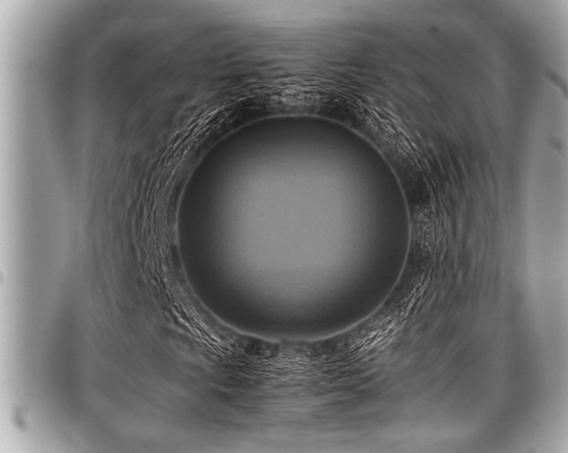 X0000098001009200803241337