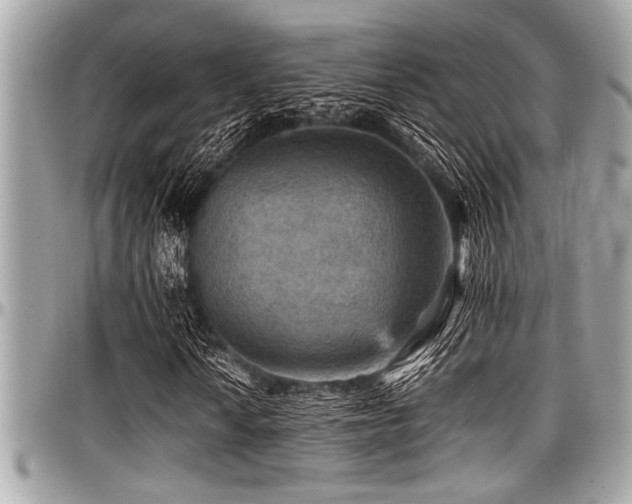X0000098001010200803241337