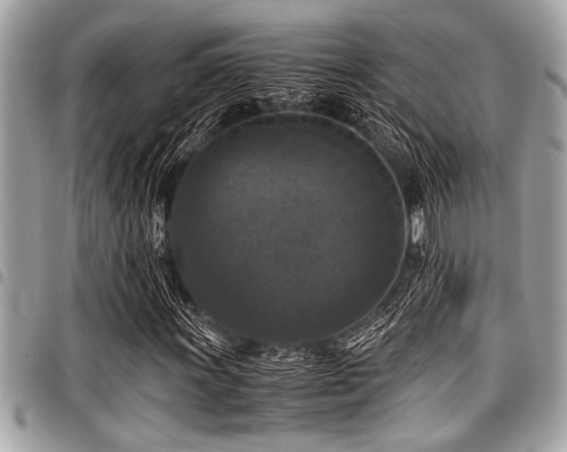 X0000098001011200803241337
