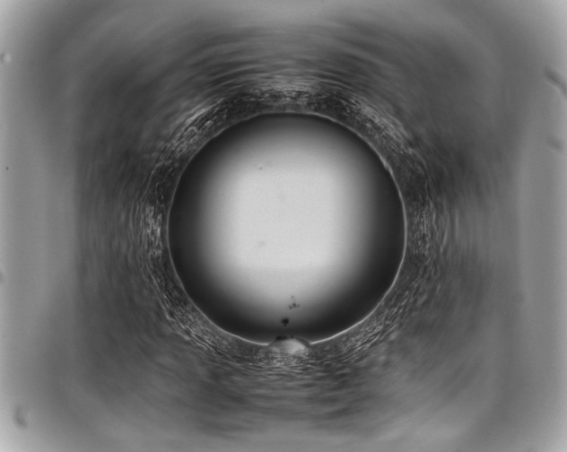 X0000098001013200803241337