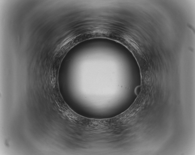 X0000098001015200803241337
