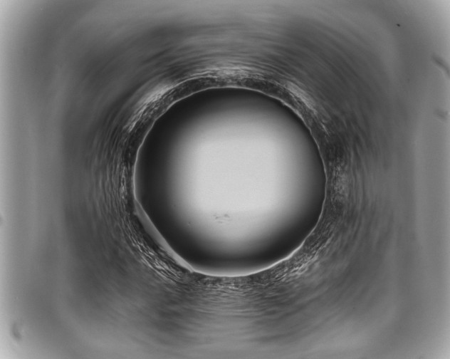 X0000098001016200803241337