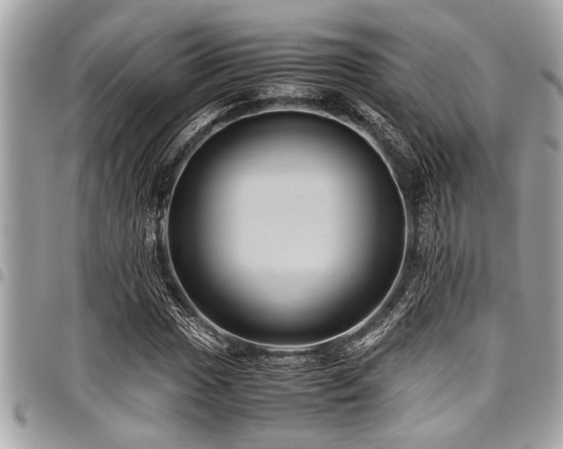 X0000098001017200803241337