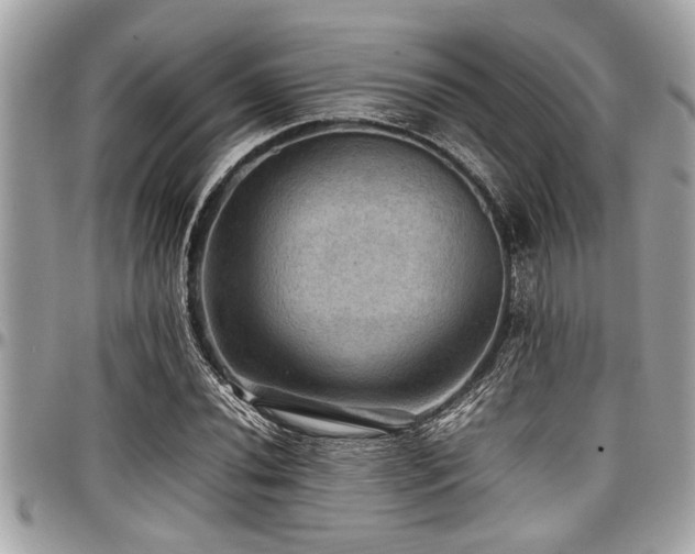 X0000098001020200803241337