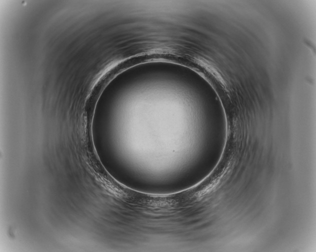 X0000098001021200803241337