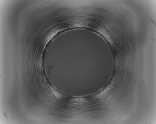 X0000098001023200803241337