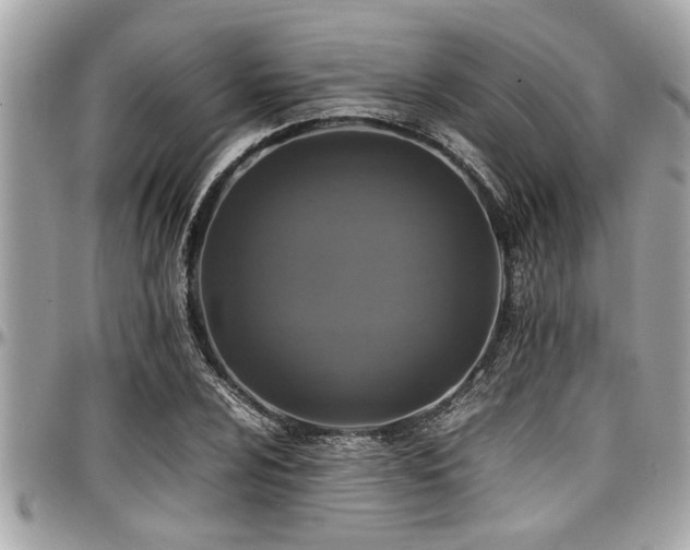 X0000098001024200803241337