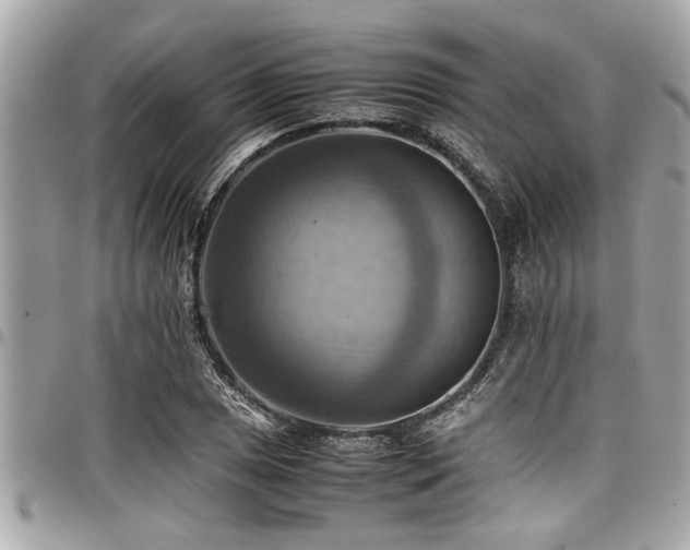X0000098001025200803241337