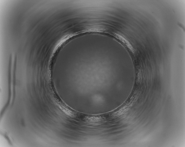 X0000098001027200803241337