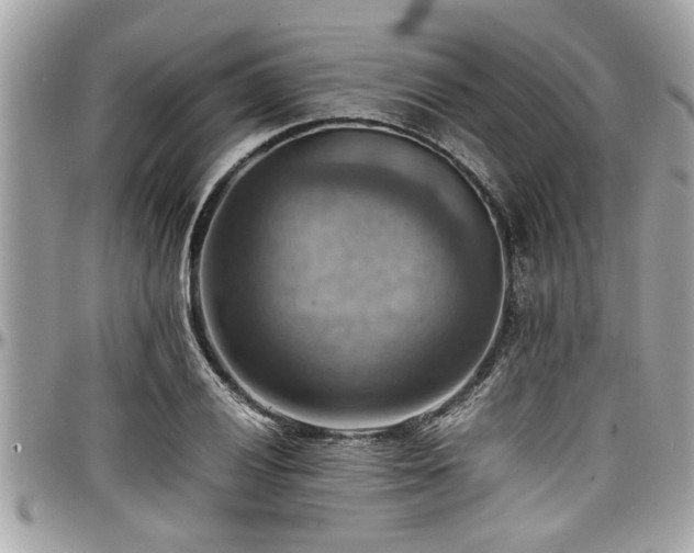X0000098001028200803241337