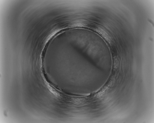 X0000098001031200803241337