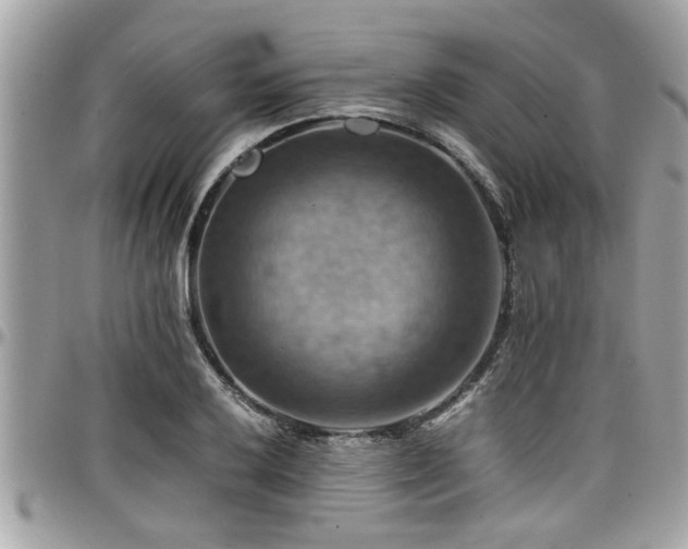 X0000098001032200803241337