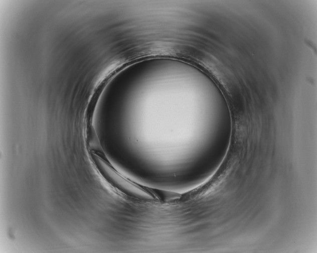 X0000098001034200803241337