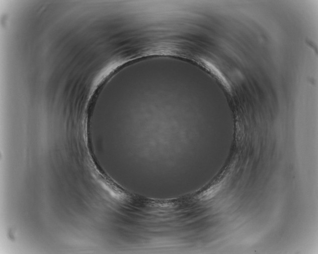 X0000098001035200803241337