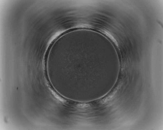 X0000098001037200803241337