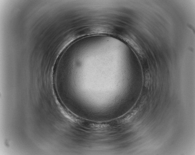 X0000098001039200803241337