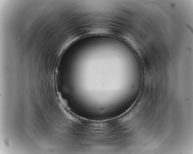 X0000098001041200803241337