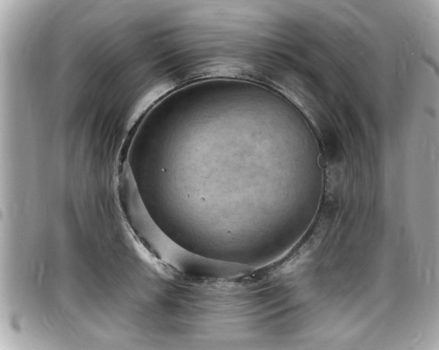 X0000098001042200803241337