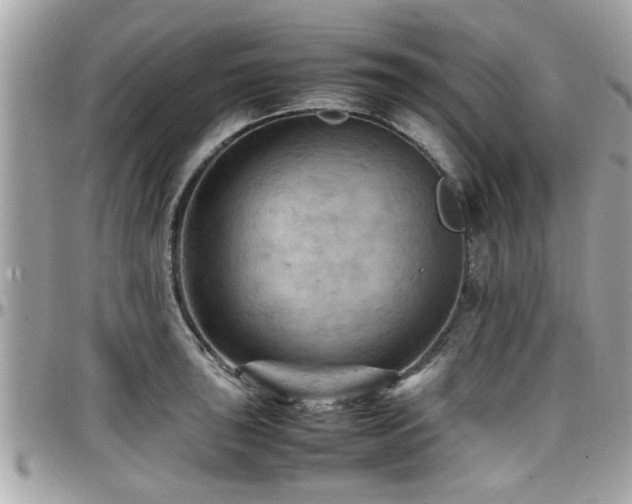 X0000098001043200803241337