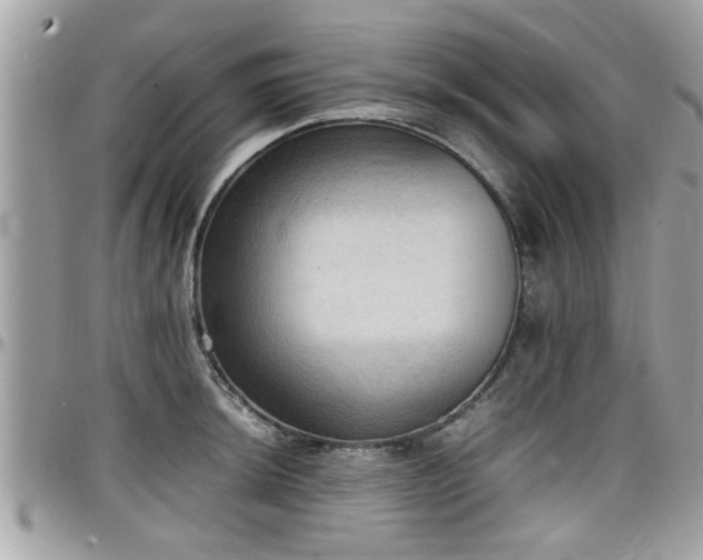 X0000098001044200803241337