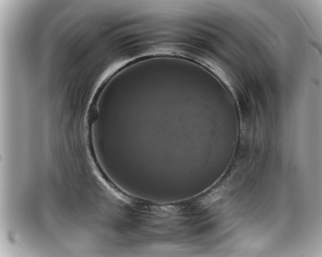 X0000098001045200803241337