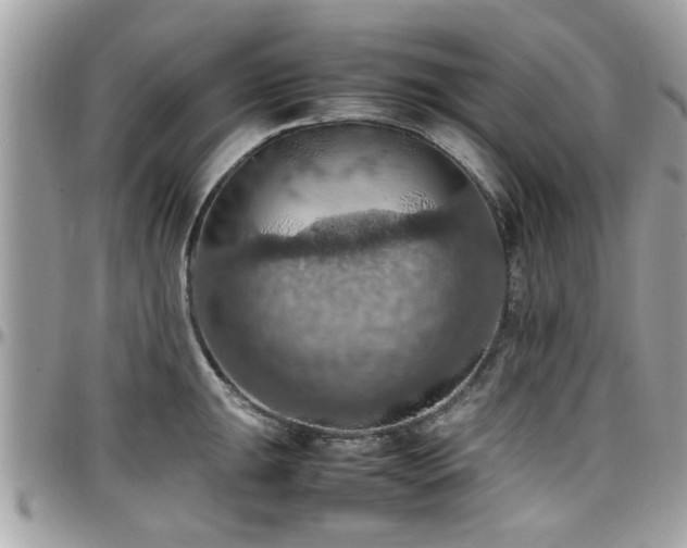 X0000098001047200803241337