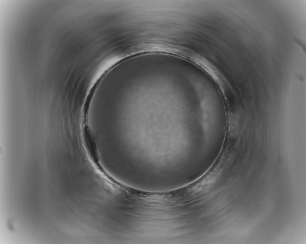 X0000098001048200803241337