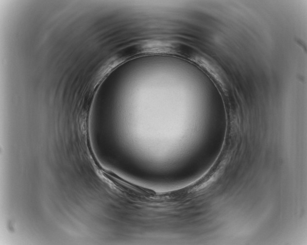 X0000098001049200803241337