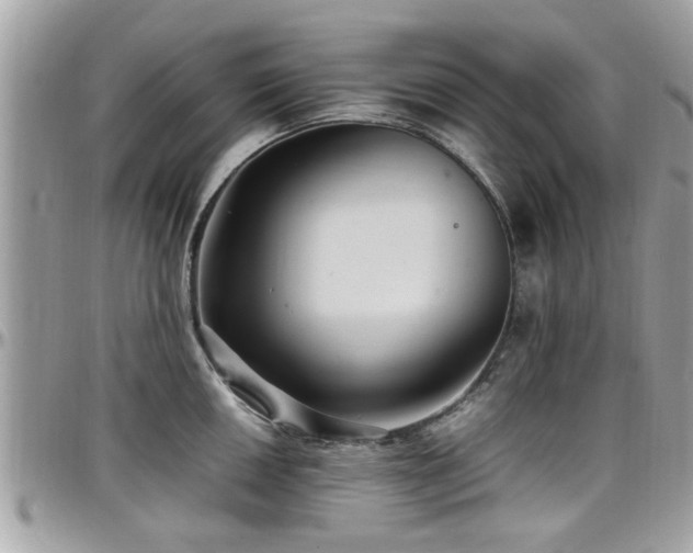 X0000098001050200803241337