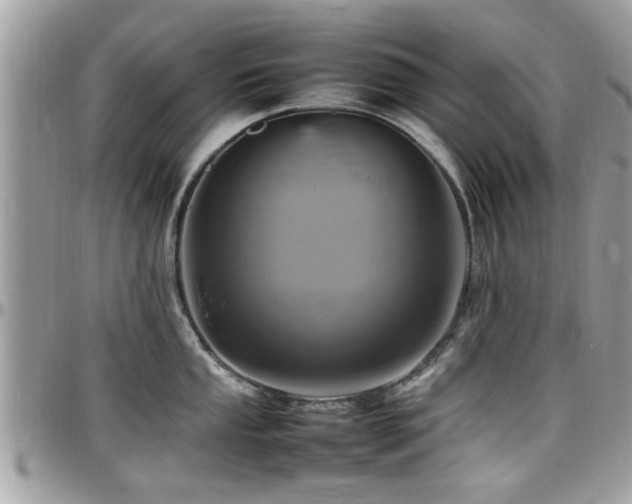 X0000098001053200803241338