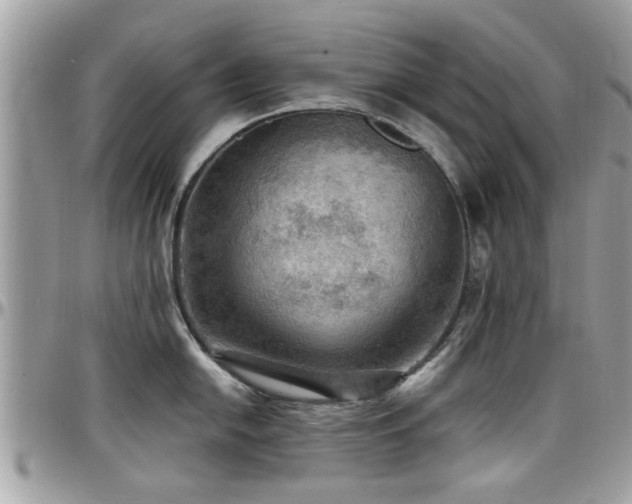 X0000098001054200803241338