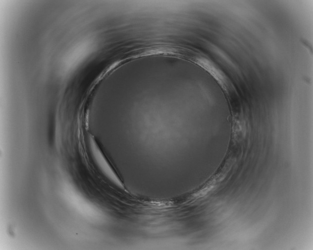 X0000098001055200803241338