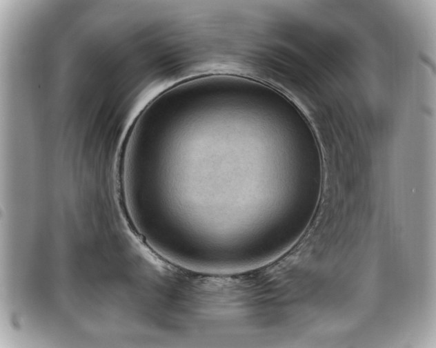 X0000098001056200803241338
