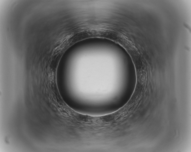 X0000098001061200803241337