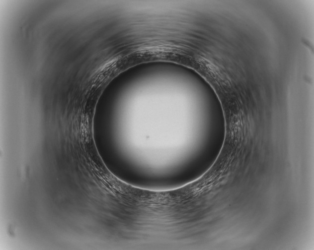 X0000098001062200803241337