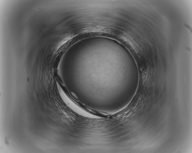 X0000098001064200803241337