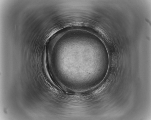 X0000098001065200803241337