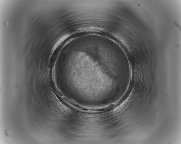 X0000098001066200803241337