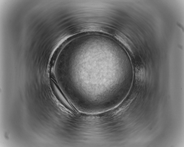 X0000098001068200803241336