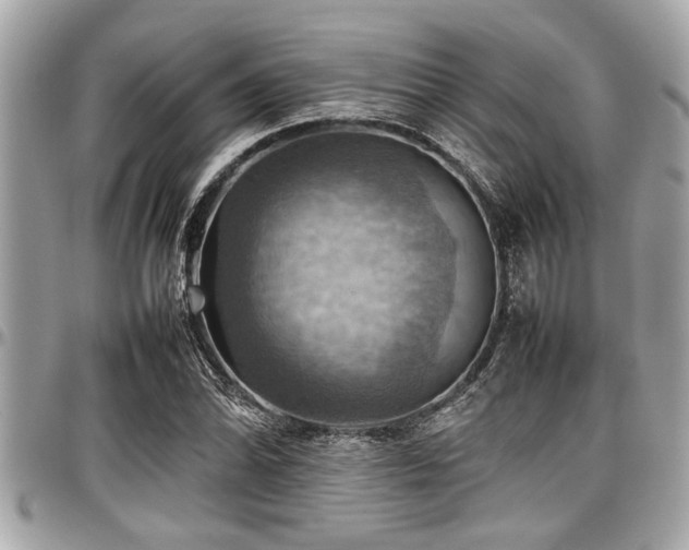 X0000098001070200803241336