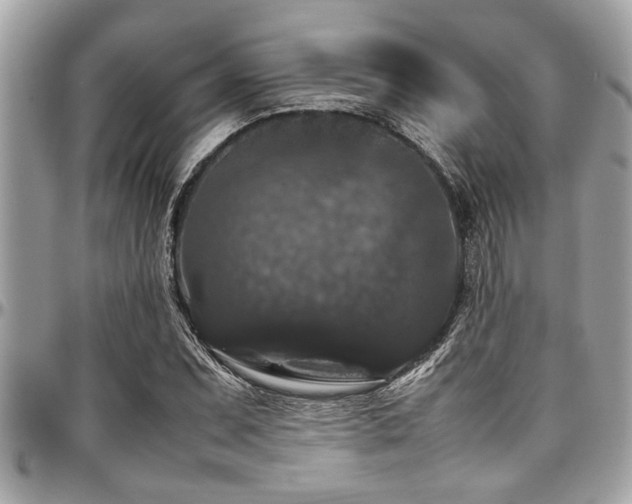 X0000098001071200803241336