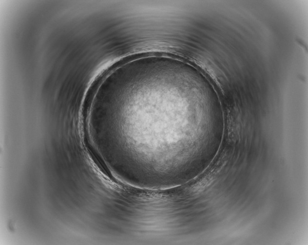X0000098001072200803241336