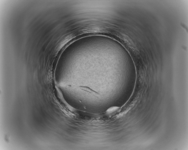 X0000098001073200803241336