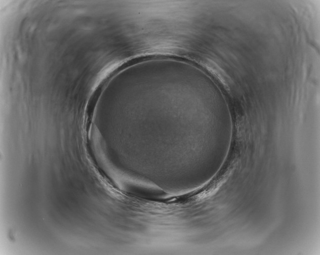 X0000098001077200803241336