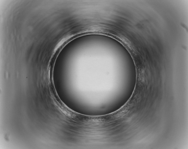 X0000098001078200803241336