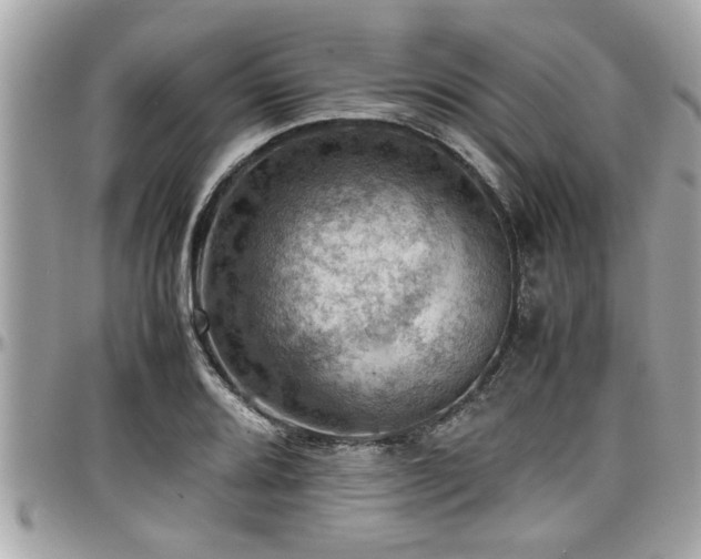 X0000098001080200803241336