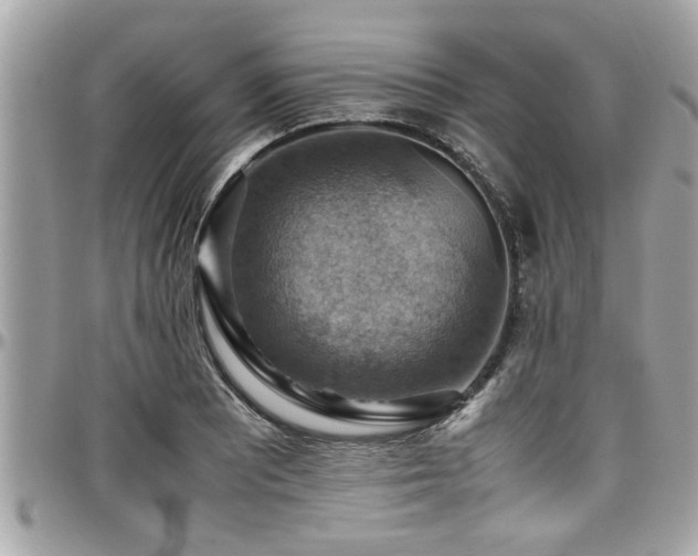 X0000098001081200803241336