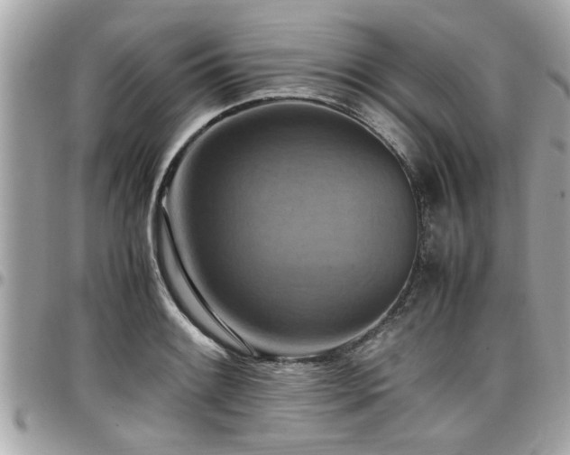 X0000098001084200803241336